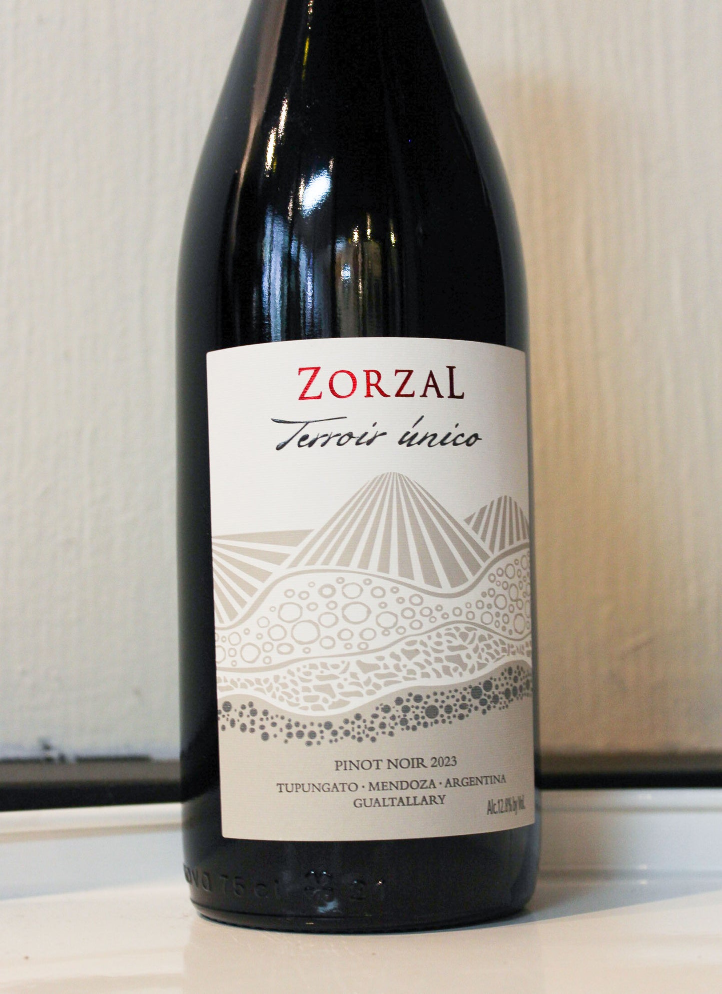 Zorzal Pinot Noir Terroir Unico