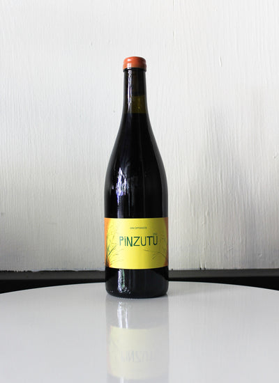 Domaine de Sulauze Pinzutu Rouge