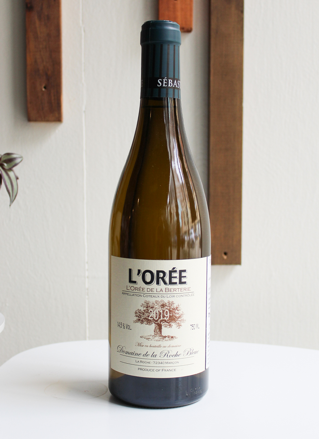 Domaine De La Roche Bleue L Oree Cotea
