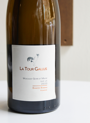 Damien Rineau La Tour Gallus Muscadet Sevre et Maine
